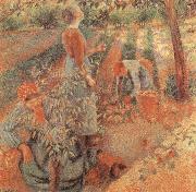 Camille Pissarro, Apple picking